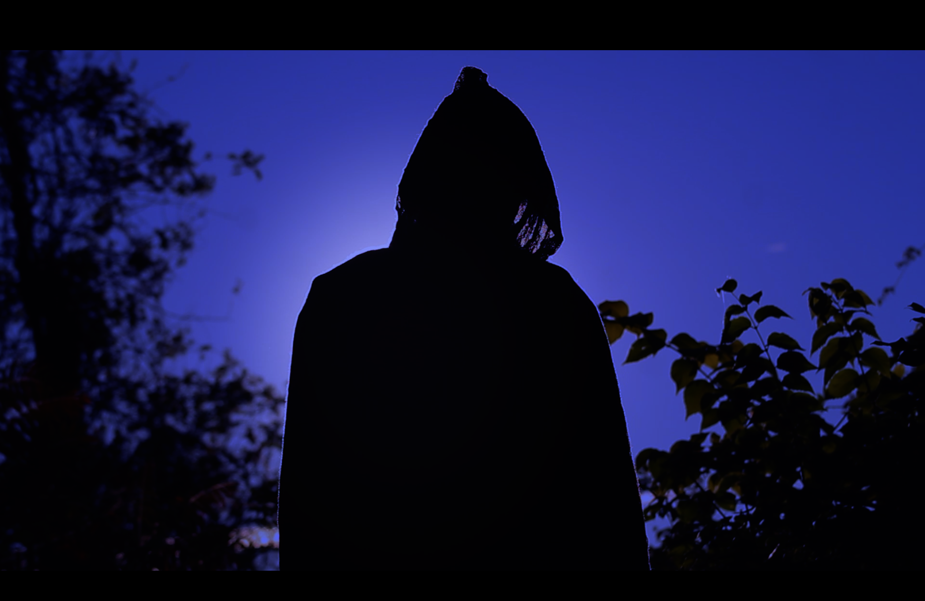 Gallery placeholder 1